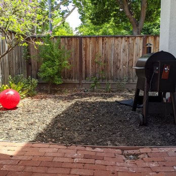 Caliarbor - Before - Tree Services Near Me Caliarbor - Before - Tree Services Near Me