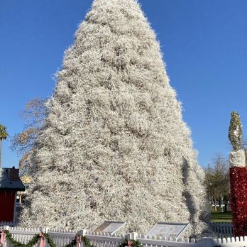 Tumbleweed Christmas Tree - Tumbleweed Christmas Tree - Local Flavor Near Me - Chandler, Arizona Tumbleweed Christmas Tree - Tumbleweed Christmas Tree - Local Flavor Near Me - Chandler, Arizona