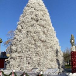 Tumbleweed Christmas Tree - Tumbleweed Christmas Tree