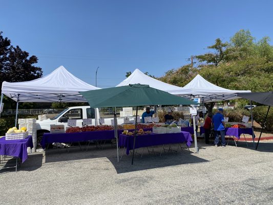 Berryessa Farmers' Market by null
