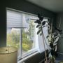Photo of Blinds & Designs