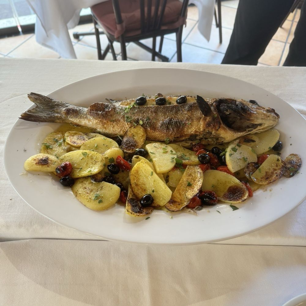 Papa Rex - Fish of the day - Roman Near Me - Rome, RM Papa Rex - Fish of the day - Roman Near Me - Rome, RM