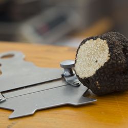 Gourmet Festival Düsseldorf - Trüffel darf nicht fehlen