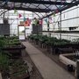 Photo of Naturally Native Nursery