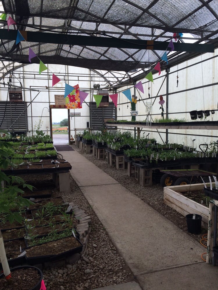 Naturally Native Nursery