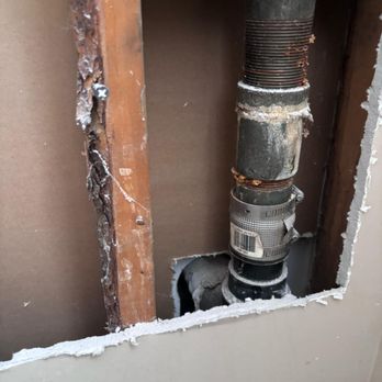 D-Solution Extermination - Pest Control Near Me - Beloeil, Quebec