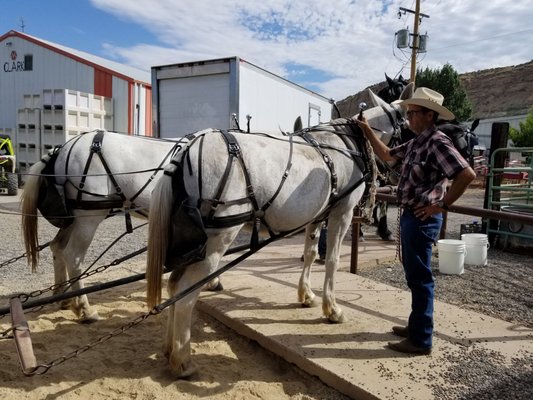 Clark Family Orchards by null