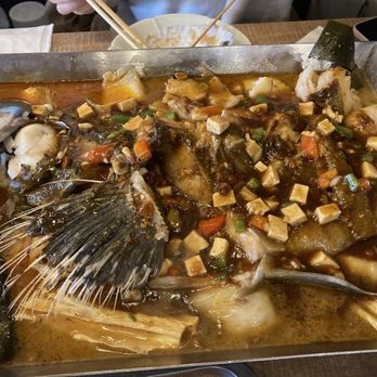 The Fish Man - Halibut Fish - Seafood Near Me - Richmond, British Columbia