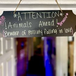 Charmin’s Pet Store