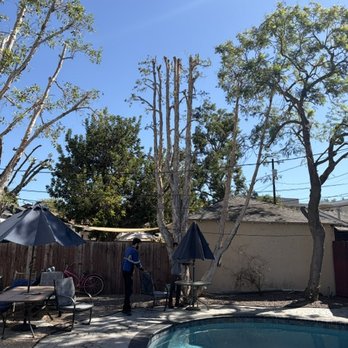 Affordable Tree Care - Tree Services Near Me Affordable Tree Care - Tree Services Near Me