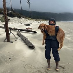 Happy Barker Kennel