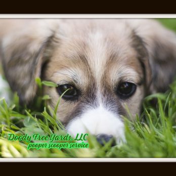 Dog Doody Lima Request Information Pet Waste Removal Lima Oh Yelp