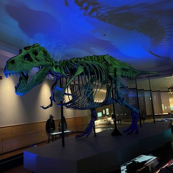 Field Museum - Museums Near Me - Chicago, Illinois