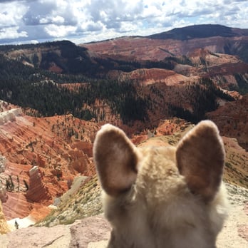 Cedar Breaks National Monument - Landmarks & Historical Buildings Near Me - Brian Head, Utah