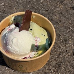 Goldhelm Eiskrämer