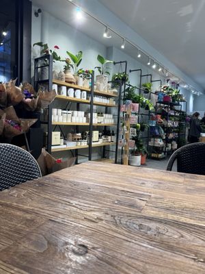 PlantShed by null