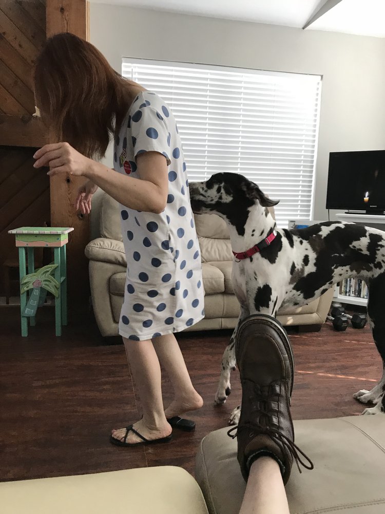 GALVESTON VETERINARY CLINIC 12 Photos & 47 Reviews 2108 61st St