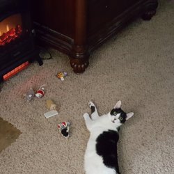 Jen's Furiends