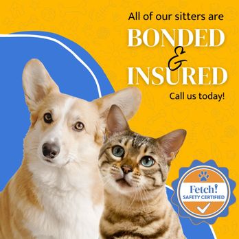 Fetch Pet Care OC Central - Pet Sitting Near Me Fetch Pet Care OC Central - Pet Sitting Near Me