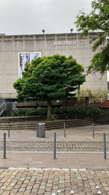 Kunsthalle Düsseldorf by null