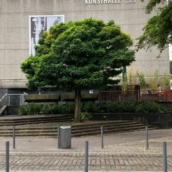 Kunsthalle Düsseldorf