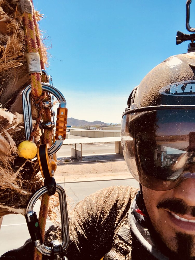 Rama Maintenance - tree service in Phoenix, AZ