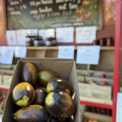 Terra Amico Farms