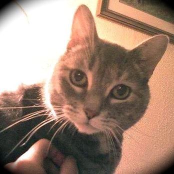 Happy Tails Animal Care - Caring for your pets when you can't be there. - Pet Sitting Near Me Happy Tails Animal Care - Caring for your pets when you can't be there. - Pet Sitting Near Me