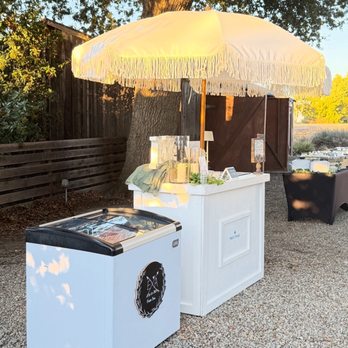 Froztique - Surprise your guests with a Froyo Bar - Ice Cream & Frozen Yogurt Near Me Froztique - Surprise your guests with a Froyo Bar - Ice Cream & Frozen Yogurt Near Me