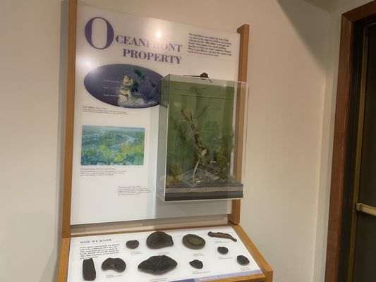 Giant City State Park by null