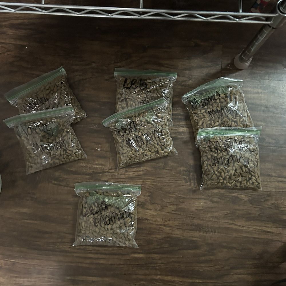 PetSuites Alliance - A full days worth of food for each dog. - Pet Boarding Near Me - Fort Worth, Texas