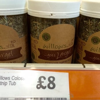Pets At Home - Huge tub of catnip - Pet Stores Near Me - Belfast, BFS Pets At Home - Huge tub of catnip - Pet Stores Near Me - Belfast, BFS