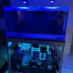 Advanced Acrylics - 120 gallon acrylic tank