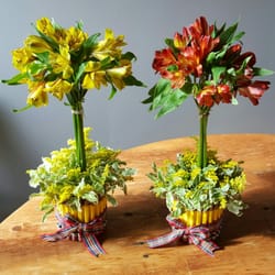 The Posh Posie Petaler
