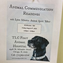 TLC First Animal Hospital - They don't listen to dog owners but they do think dogs have something to say.