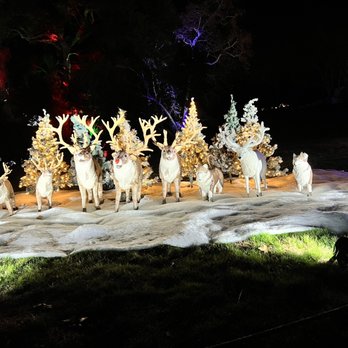Holiday Road - Motorized reindeer - Festivals Near Me - Calabasas, California Holiday Road - Motorized reindeer - Festivals Near Me - Calabasas, California
