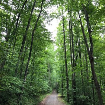 Old Rag Mountain - Weakley Hollow Fire Road on the way back - Hiking Near Me