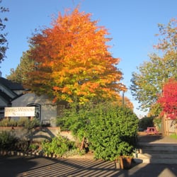 Living Wisdom School