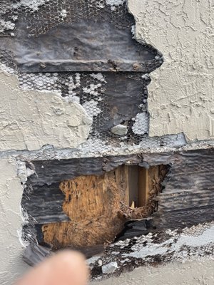 JYR Painting Service Logo