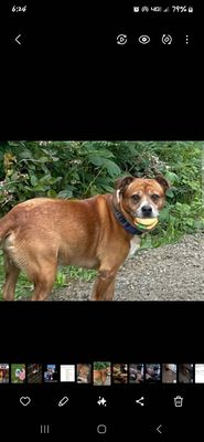 Lower Umpqua Veterinary Clinic