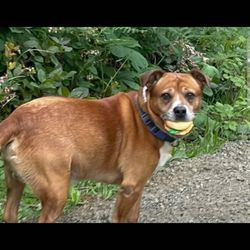 Lower Umpqua Veterinary Clinic