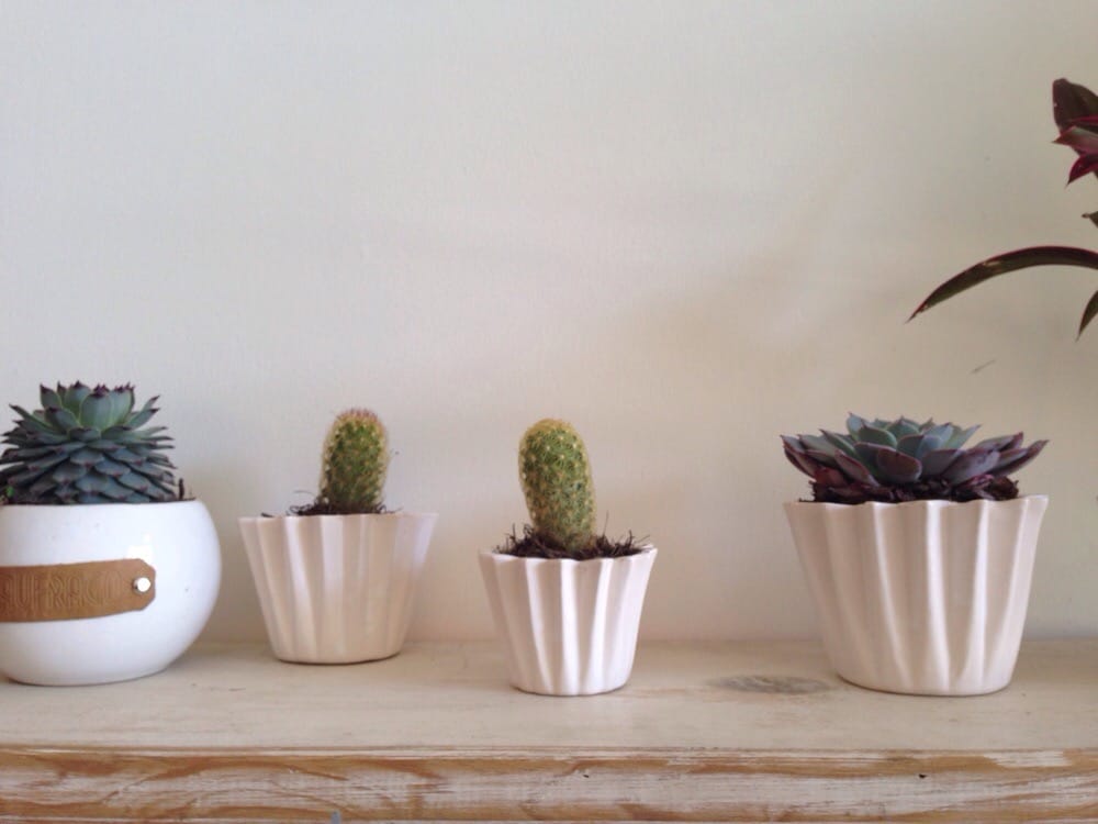 EME Blvd. Campestre 1215C, León, Guanajuato, Mexico Furniture