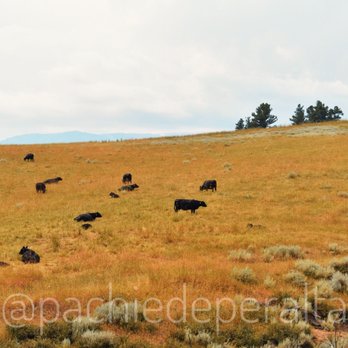 Tippet Rise Art Center - Cultural Center Near Me - Fishtail, Montana Tippet Rise Art Center - Cultural Center Near Me - Fishtail, Montana
