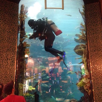 Chart House - The huge fish tank, which the diver was cleaning. - Seafood Near Me - Las Vegas, Nevada Chart House - The huge fish tank, which the diver was cleaning. - Seafood Near Me - Las Vegas, Nevada
