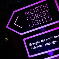 North Forest Lights at Crystal Bridges