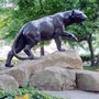 Photo of Millennium Panther