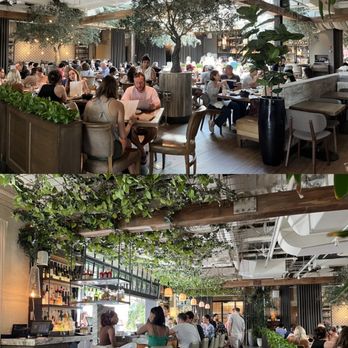 Aba - Indoors - Mediterranean Near Me - Chicago, Illinois
