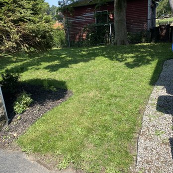 Lawns By Lenora - Progress - Lawn Services Near Me Lawns By Lenora - Progress - Lawn Services Near Me