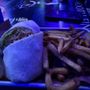 Photo of Sidelines Sports Pub