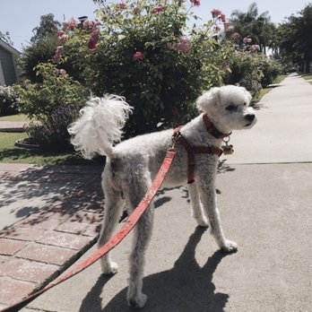 Ken-Mar Rescue - Animal Shelters Near Me Ken-Mar Rescue - Animal Shelters Near Me